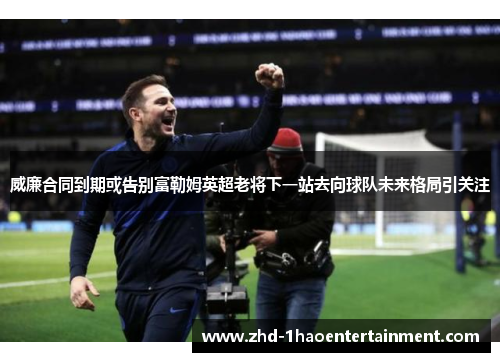 威廉合同到期或告别富勒姆英超老将下一站去向球队未来格局引关注