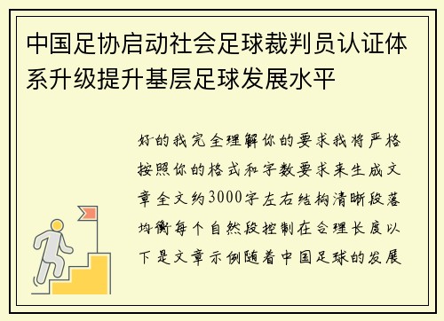 中国足协启动社会足球裁判员认证体系升级提升基层足球发展水平